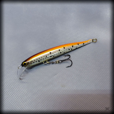 11cm tanetikku