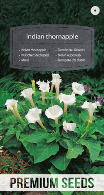 Tuoksuhulluruoho "Indian thornapple" - siemenet #