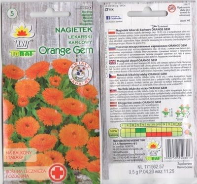 Kehäkukka "Orange Gem" HUOM PÄiVÄYS! Ale -30%#