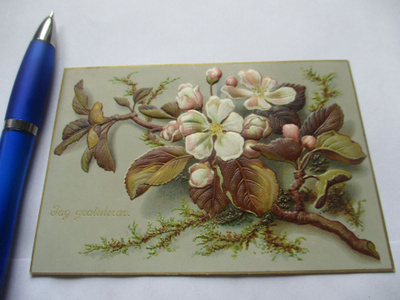 Koristekortti 1883 *