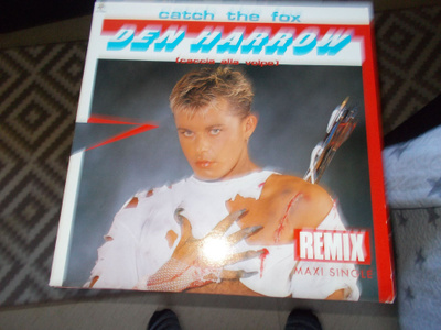 12" VINYYLI SINKKU DEN HARROW ** CATCH THE FOX ** REMIX
