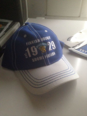 Leijonat lippis