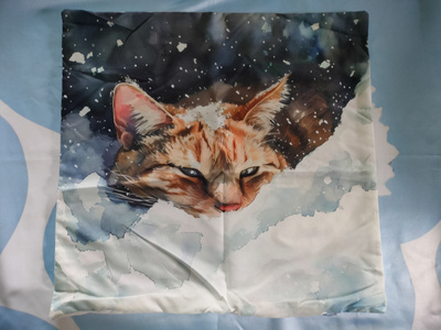 ~Koristetyynynpäällinen~ kissa