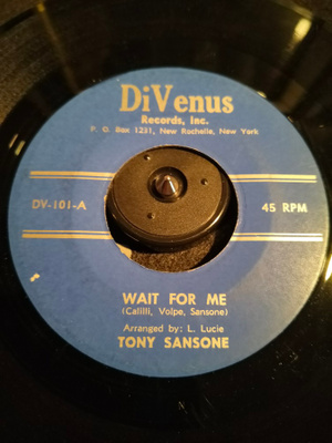 TONY SANSONE,DIVENUS 101