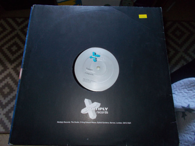 12" VINYYLI SINKKU TRANSFER ** POSSESSION **