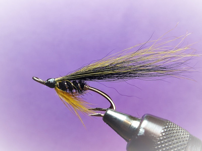 Lohiperho Haggis # 6 d