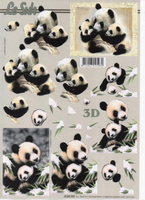 3D KUVA °°PANDAT & POIKASET°° /Le Suh
