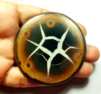 Septaria pyörtöhiottu 195.30 ct upea moniväri kärrynpyörä