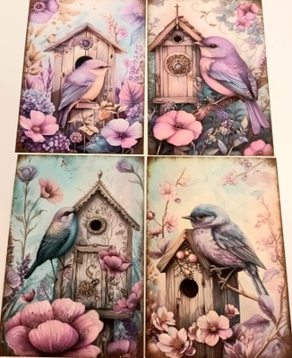 Korttikuvat LINNUT / 4 kpl -setti / A6