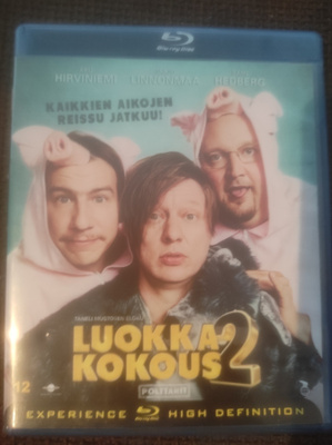 Luokkakokous 2 - Polttarit