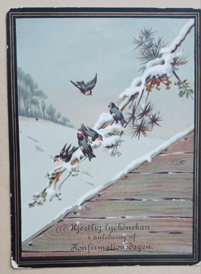 Lintuja lumisella oksalla, konfirmaation muistokortti, käyt.