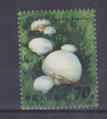 Kiina 1982 Mi 1723