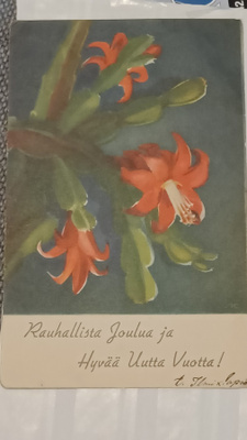 Joulukorttl