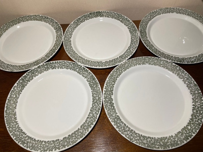Arabia TAPIO lautaset 23,5 cm 5 kpl