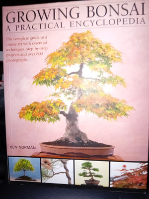 Norman :  Growing Bonsai ( SIS POSTIKULU  )