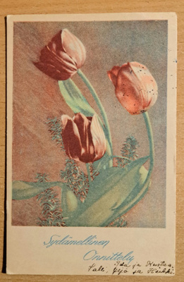 kukkakortti, tulppaanit, kulkenut 1942