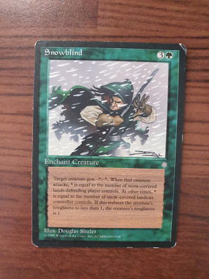 Magic the Gathering Snowblind