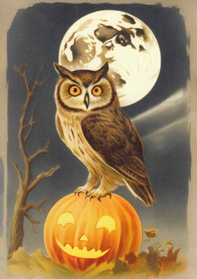 Halloween pöllö kurpitsan päällä