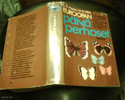 Higgins - Riley EUROOPAN PÄIVÄPERHOSET ( 2 p.1980) Sis.pk