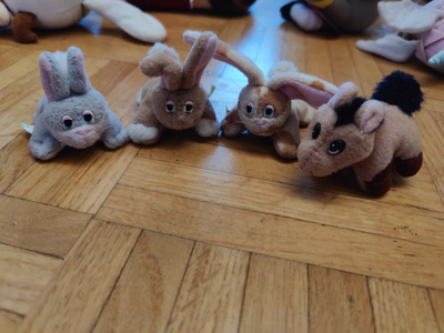 Pound Animals
