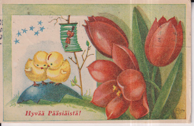 Hyvää Pääsiäistä ! Tiput, kukat , e40