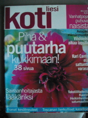 Kotiliesi Nro 8/2004 (9.11)