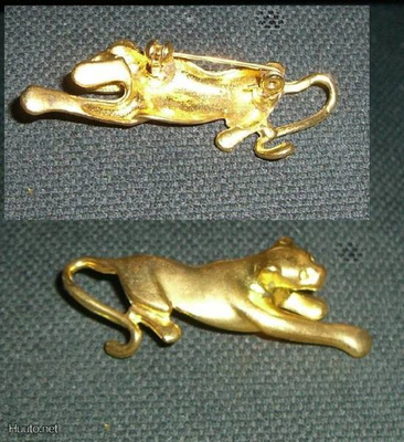 Pantteri rintakoru