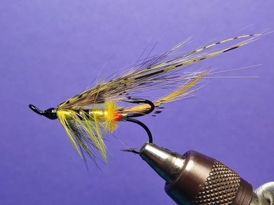 Lohiperho Tali-Ackroyd # 4 tre lw