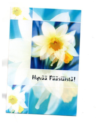 Kauniit narsissit...°°HYVÄÄ PÄÄSIÄISTÄ!°° -KORTTI /Kimalle