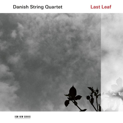 Danish String Quartet - Last Leaf LP