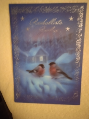 NO 8 - RAUHALLISTA JOULUA