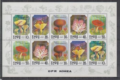 SIENET iso sieniaiheinen blokki POHJOIS-KOREA **