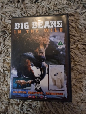 Big Bears in the wild