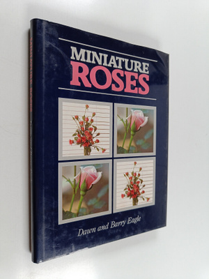 Dawn Eagle ym. : Miniature Roses