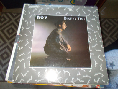 12" VINYYLI SINKKU ROY ** DESTINY TIME **