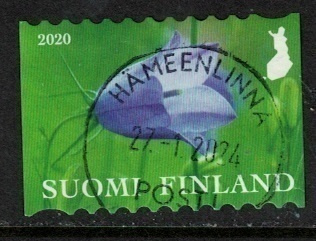 Luonnonkukkia, kissankello, 2020, loistoleima