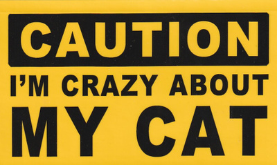 CAUTION I´M CRAZY ABOUT MY CAT (K16-S27)