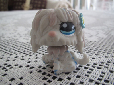LPS  KOIRA
