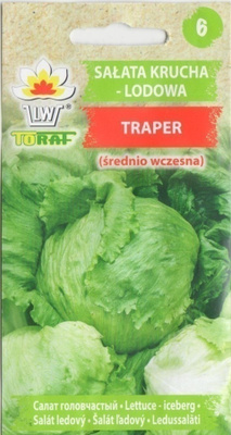 Jäävuorisalaatti siemenet - Traper #