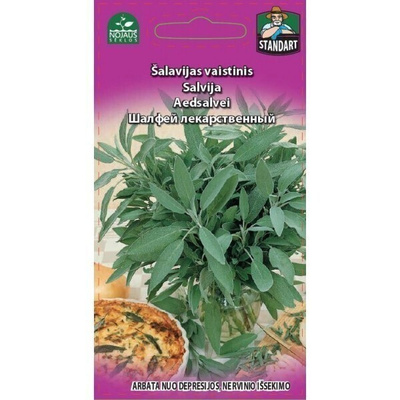 Ryytisalvia siemenet #
