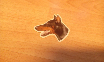 Rotutarra Dobermanni (pystykorva)
