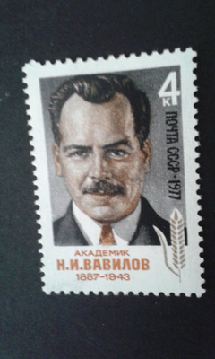cccp 1977 nikolai vavilov**