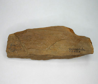 Kivettynyt puu Wolkertshofen Saksa n.1/4kg 134mm
