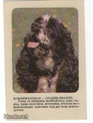 Cockerspanieli (taskukalenteri 1988) #1016