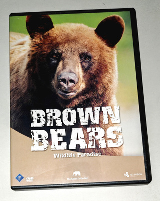 Brown Bears
