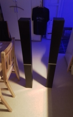Myydään Pioneerin lattia kaiuttimet