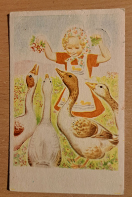 tyttö ruokkii hanhia, kulkenut 1971
