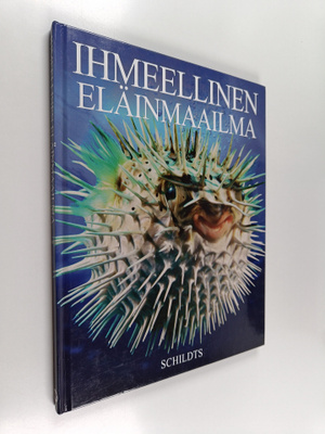 Jacqui Bailey : Ihmeellinen eläinmaailma