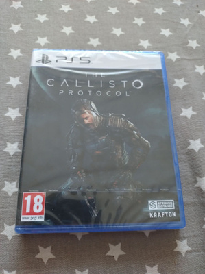 the Callisto protocol (PS5)