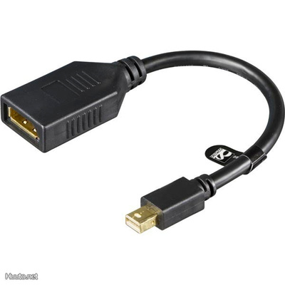 Deltaco Mini DisplayPort uros - DisplayPort naaras 0.2m UUSI